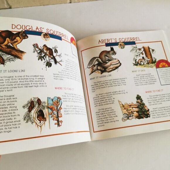 Take Along Guide Rabbits, Squirrels & Chipmunks Book, Fun with Nature Kids book - Picture 8 of 9